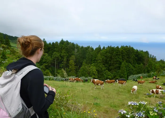 Casa Formosa * 富尔纳斯