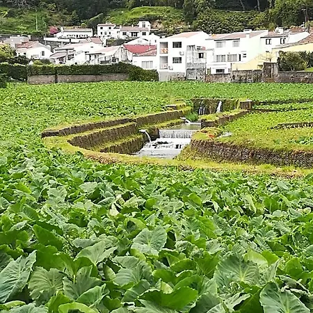 Дом отдыха Casa Formosa