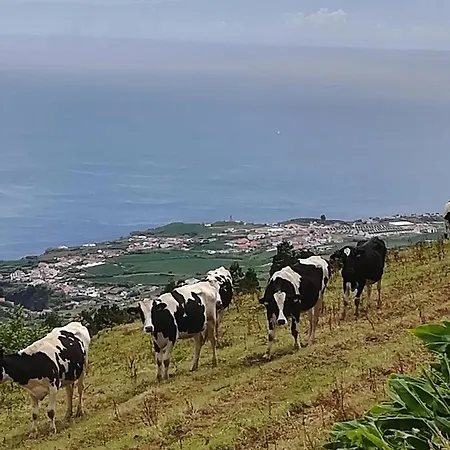 Casa Formosa Furnas (Azores)