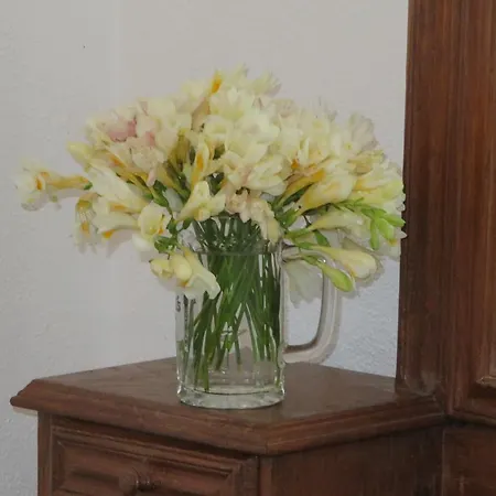 Casa Formosa Дом отдыха *