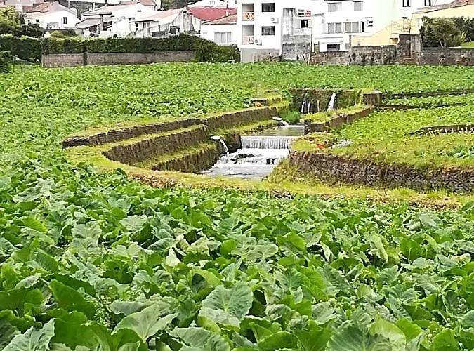 Сasa de vacaciones Casa Formosa