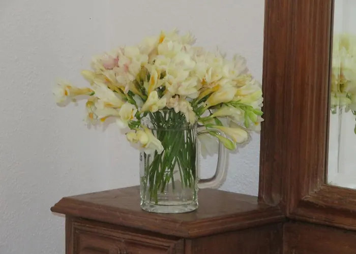 Casa Formosa Сasa de vacaciones *